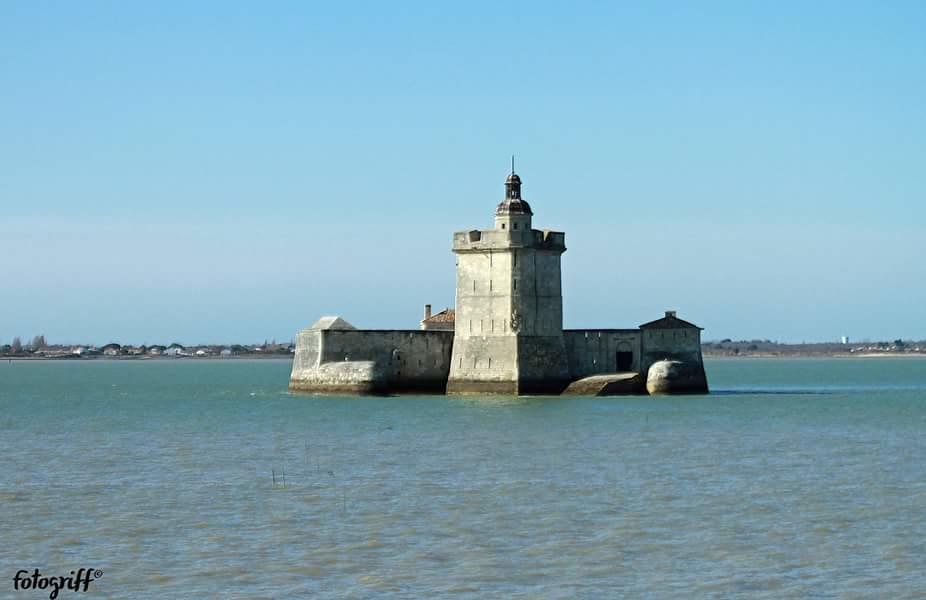 Le Clos Des Oiseaux Saintes Exterior foto